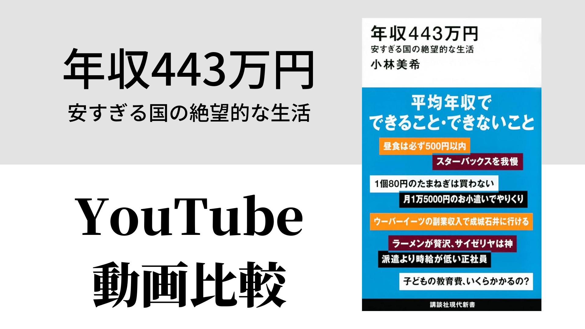 年収443万円 安すぎる国の絶望的な生活 YouTube動画比較（スマホ対応）